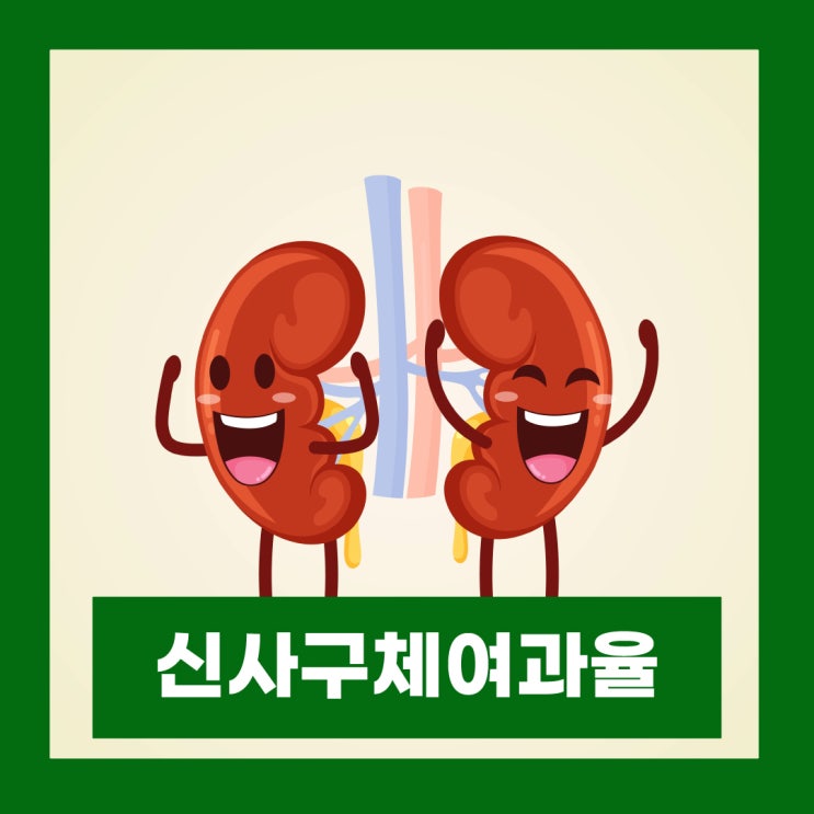  신사구체여과율 수치 eGFR 크레아티닌 정상수치 만성콩팥병