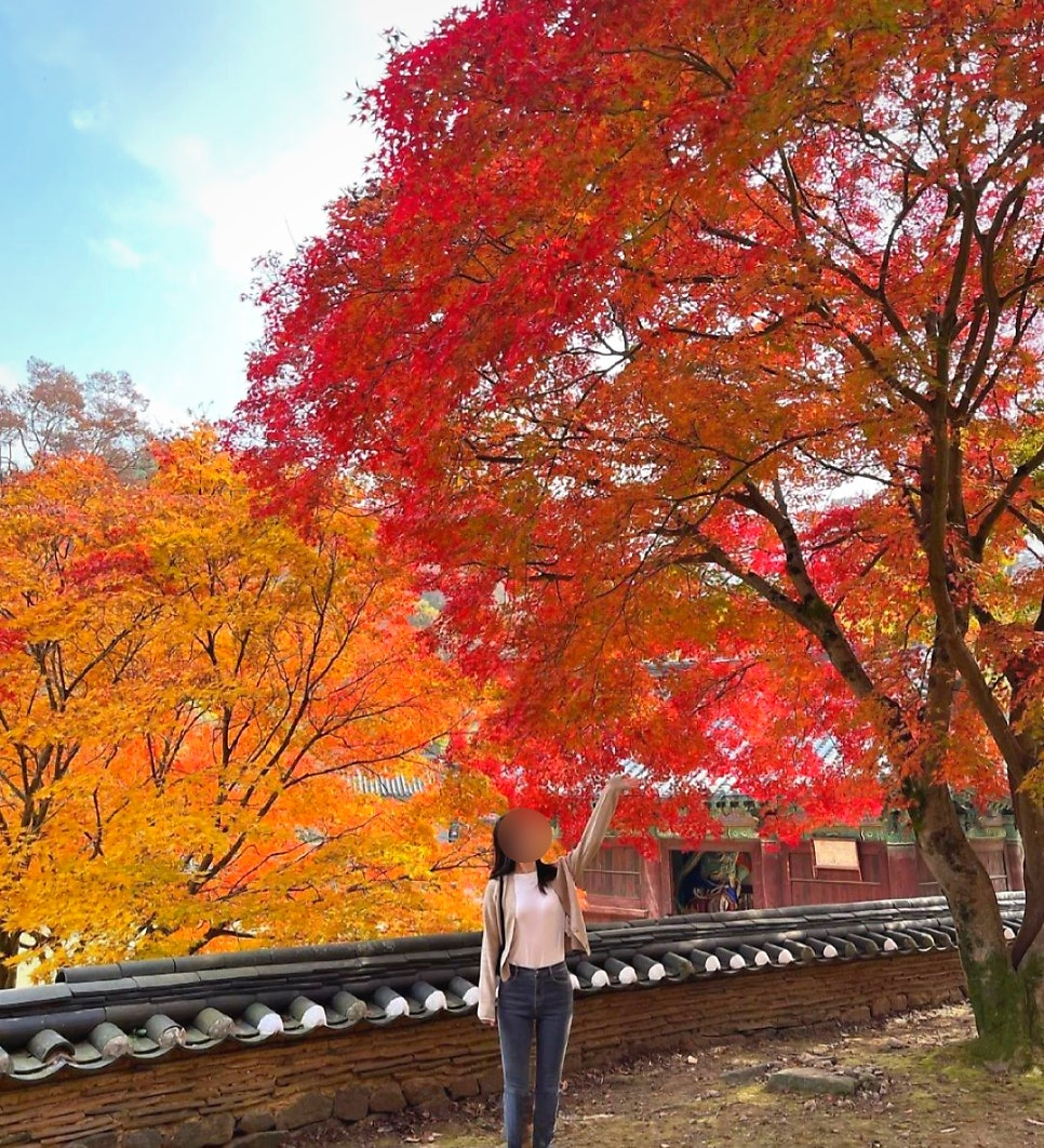 미식정순두부 마곡사점 사진 3