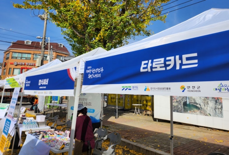 2023 연천 대광.천년전우 희망나드리 축제 타로행사 다녀 왔어요~