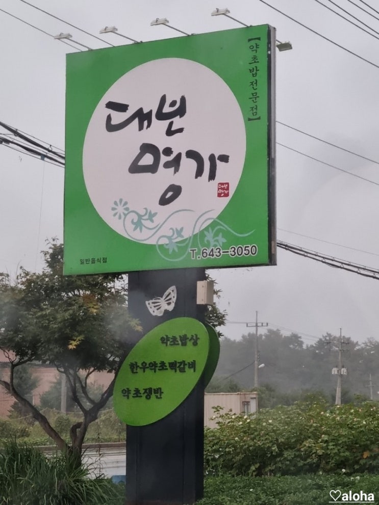 <b>제천</b> 대보명가 <b>약초</b>쟁반 밥상 리뷰