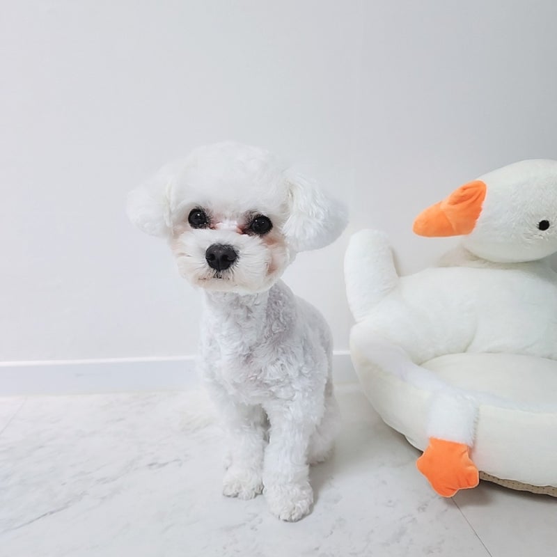 사진 7