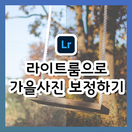  [라이트룸 강의] 가을 감성 사진 보정하기