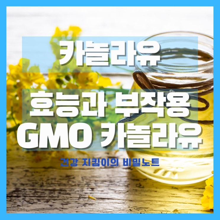 카놀라유 효능과 부작용 알고 드세요, GMO 카놀라유 부작용 있을까?