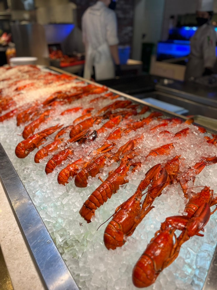  잠실 롯데월드몰 맛집, 바이킹스워프 랍스타 무제한 뷔페 후기
