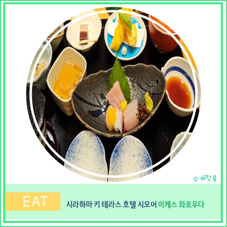  간사이 오사카 근교 와카야마 여행 시라하마 키 테라스 호텔 시모어 이케스와로우다 디너 후기