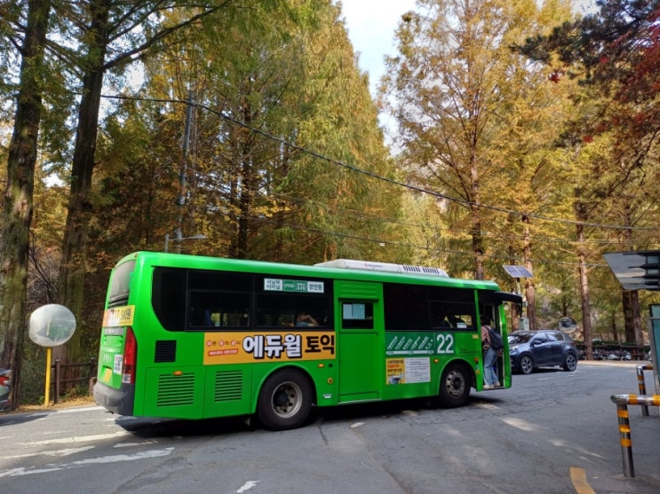  장태산자연휴양림 버스 뚜벅이 매점 장안슈퍼