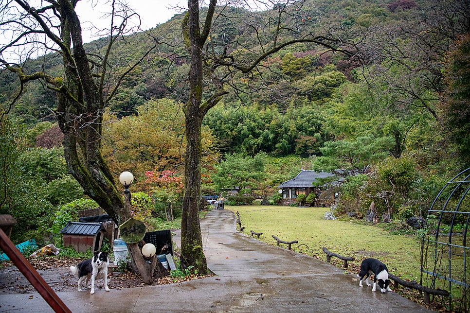 광대울산장 사진 3