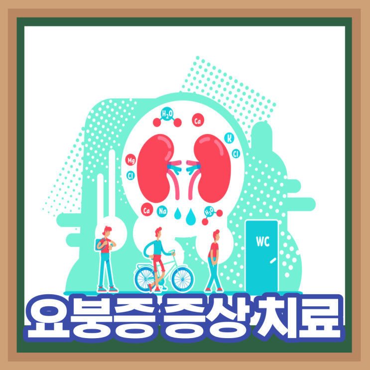  요붕증 원인 증상 검사 치료 잦은 소변 자주 마려움 해결 예방법