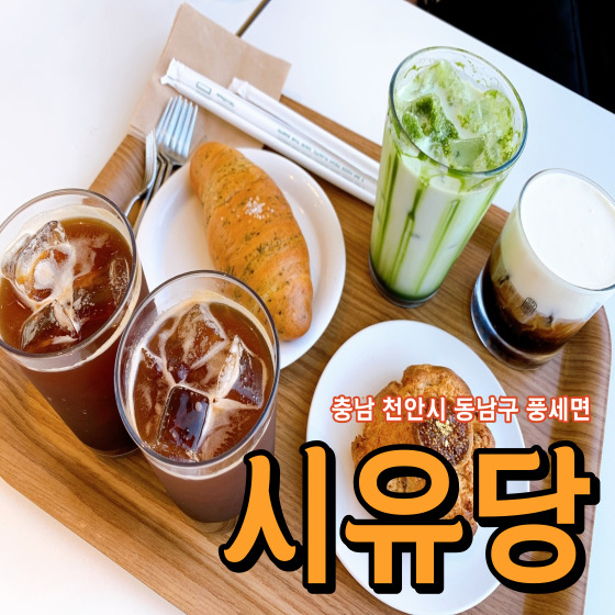  [충남 천안시 동남구 풍세면] 시유당 - 천안 태학산자연휴양림 근처 수제 도넛이 맛있는 풍세 대형 베이커리 카페 + 뚜쥬르과자점 복숭아 케이크