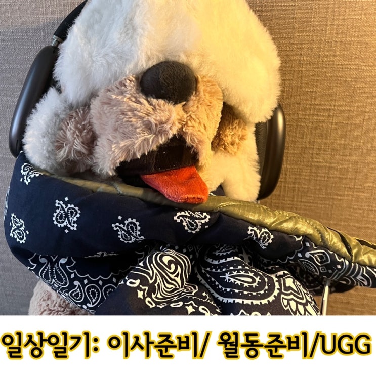  일상일기: 이사준비 미쳐브러