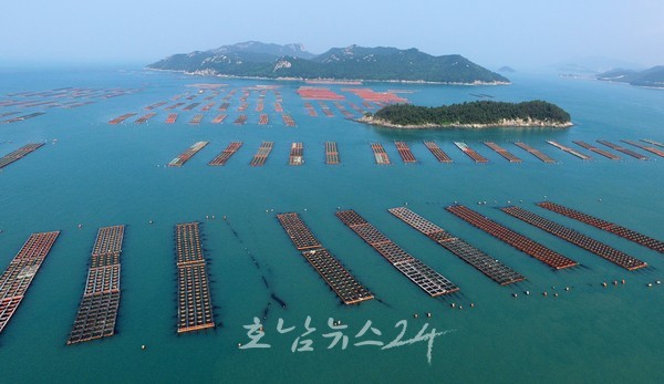 전남도 수산물 정부비축 사업에 양식수산물 포함