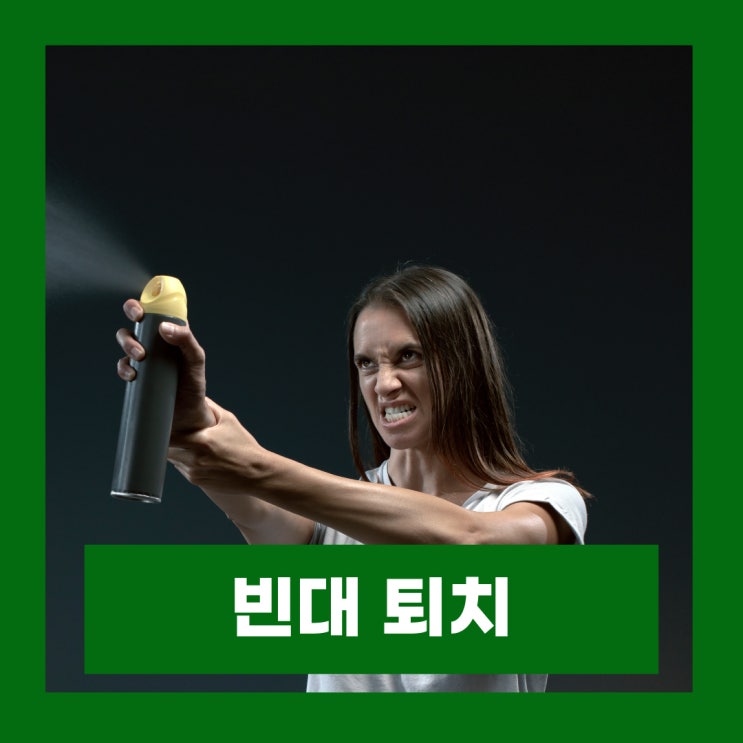  빈대 퇴치 새로운 성분 네오니코티노이드계 정부 긴급 사용승인