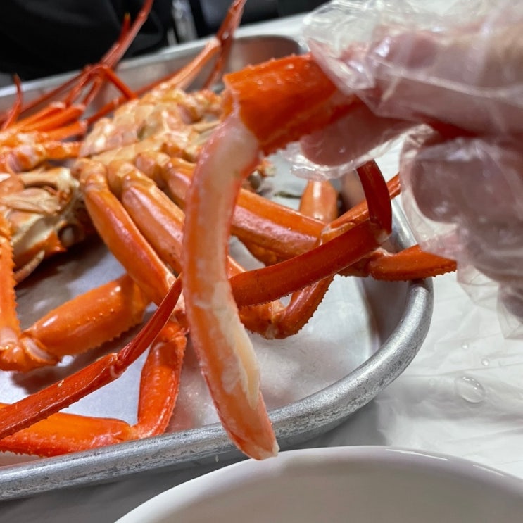  강릉 홍게 맛집  ㅣ 미스터홍게 무한리필