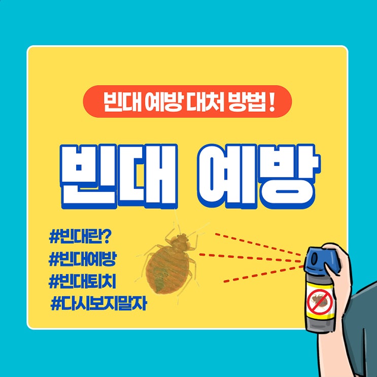  베드버그 빈대 물린자국 증상 예방 퇴치 방법