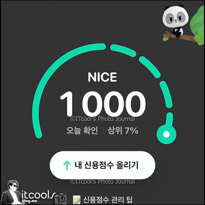  현대카드 무료 신용점수 조회/올리기 & 신용등급 점수표 - 재미로 보는 내 신용 레벨