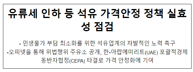 유류세 인하 등 석유 가격안정 정책 실효성 점검 유류세 인하 등 석유 가격안정 정책 실효성 점검