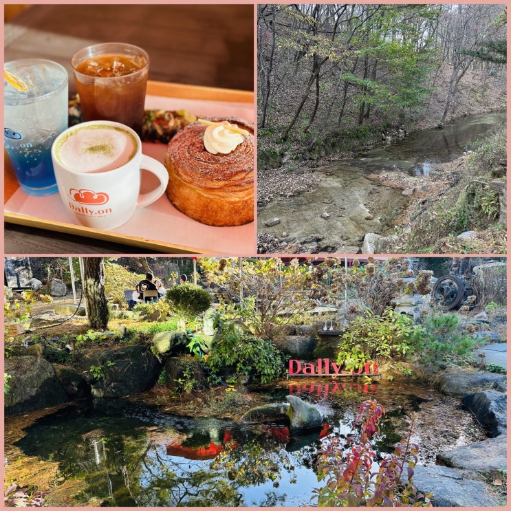 서울 근교 애견 동반 카페.달리온.의정부 계곡 있는 베이커리 카페 맛집.