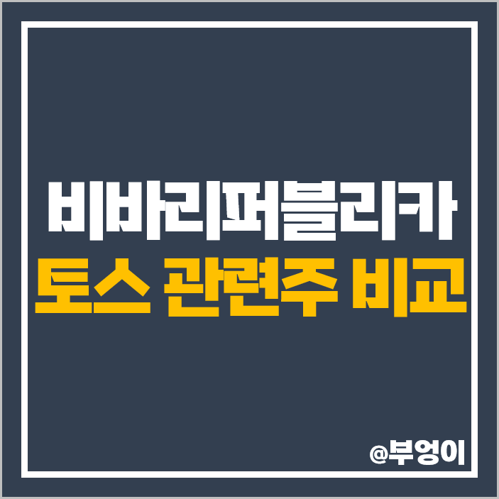 비바리퍼블리카 토스 관련주 한국전자인증 주식 이월드 주가 비바리퍼블리카 토스 관련주 한국전자인증 주식 이월드 주가
