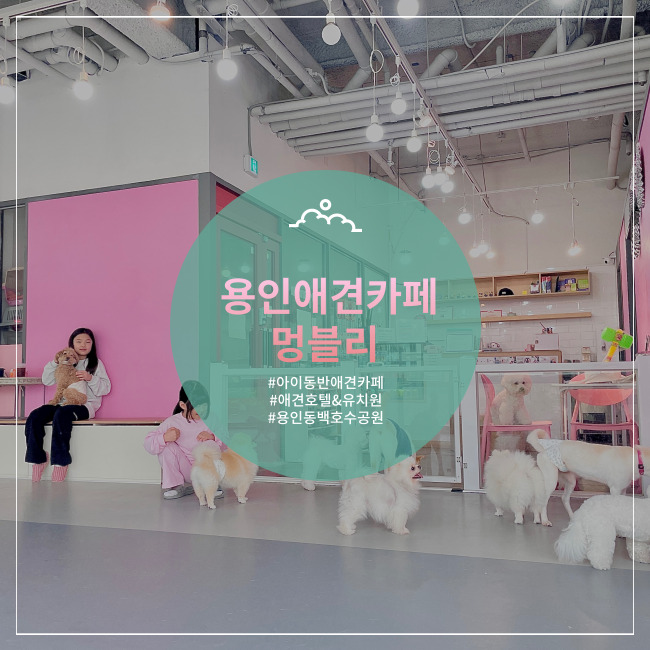  [용인] 강아지 없이 아이동반 애견카페 동백 멍블리(+주차팁)