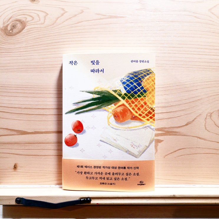  작은 빛을 따라서 (권여름) 21년 넥서스 경장편 작가상 대상 작품 48번째 도서리뷰
