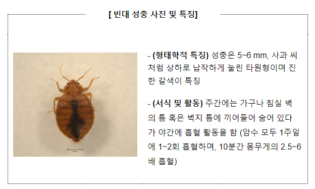 질병관리청, 「빈대 정보집」 개정판 발간(11.9.목)