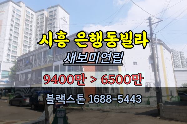 시흥시 은행동빌라 경매 새보미연립 노후건물투자 6천만원 2023타경56398