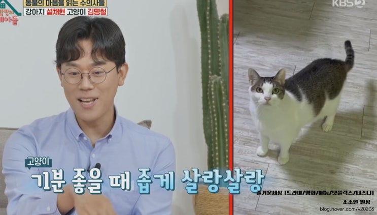 옥탑방의 문제아들 250회 줄거리: 수의사 <b>설채현</b>,<b>김명철</b>(11월... 