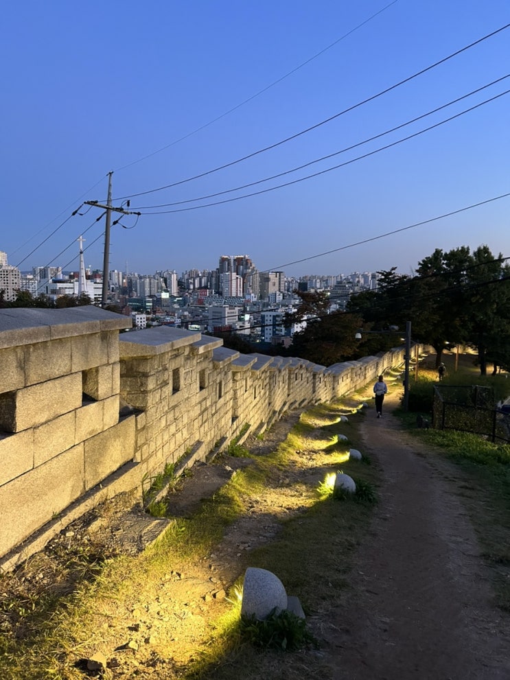  서울 야경 동대문성곽 흥인지문공원