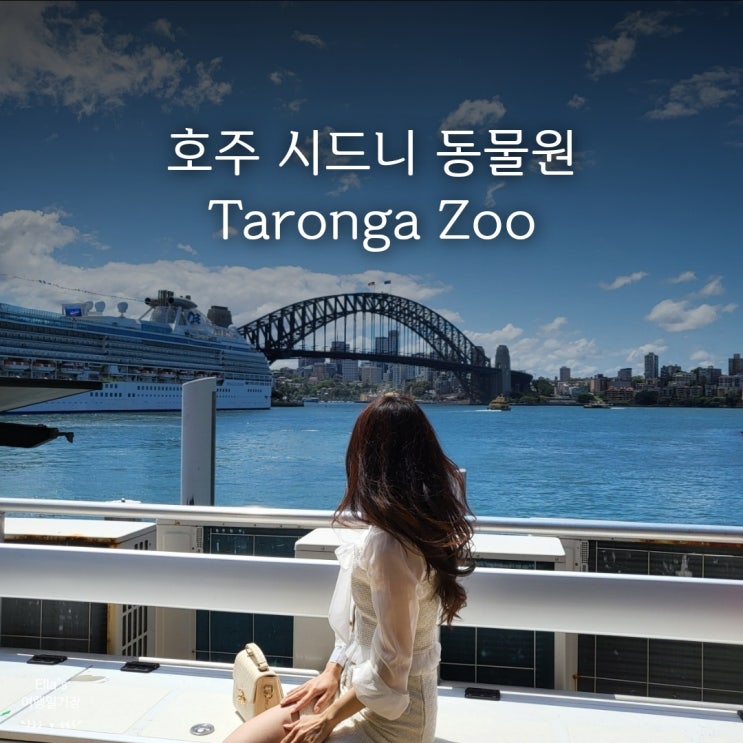  시드니 타롱가 동물원 | NO.1 호주 여행 코스인 이유 5가지!