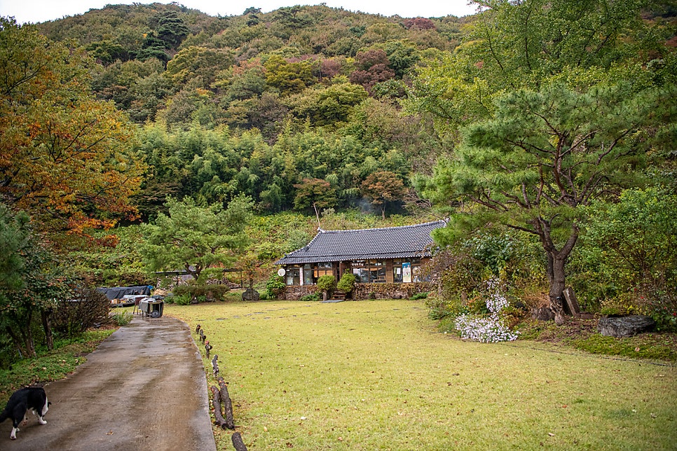 광대울산장 사진 4