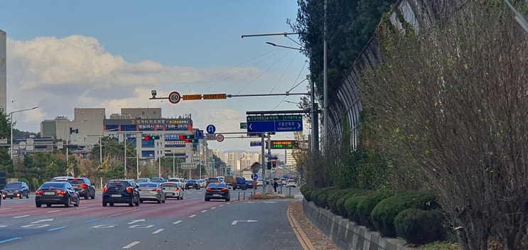 [대전경찰청]<b>이륜차</b> 단속 가능한 <b>후면</b> 무인교통단속장비 시범운영