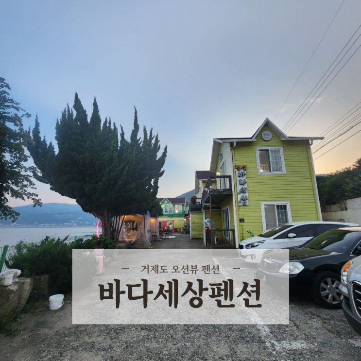  거제도 가성비 좋은 오션뷰 애견동반숙소 바다세상펜션 내돈내산 후기