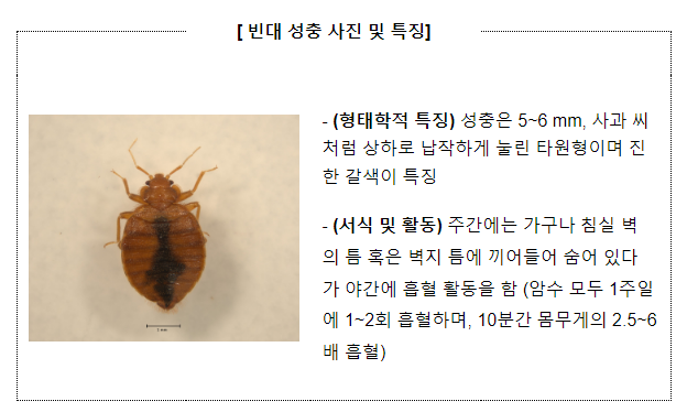 질병관리청, 「빈대 정보집」 개정판 발간(11.9.목) 질병관리청, 「빈대 정보집」 개정판 발간(11.9.목)