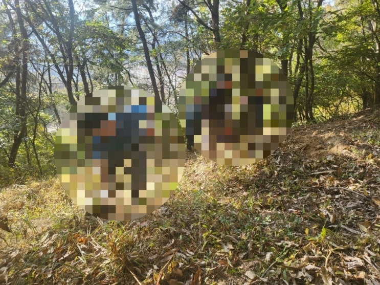  2023년 경북 상주시 모동면 수봉리에서 김천시로 이장 및 평장 과 비석이동 공사 고인돌장의사 #구미장의사 #선산장의사 #상주장의사 #성주장의사 #문경장의사 #영동장의사