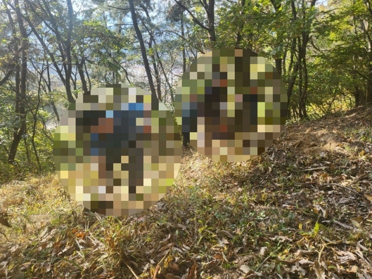 2023년 경북 상주시 모동면 수봉리에서 김천시로 이장 및 평장 과 비석이동 공사 고인돌장의사 #구미장의사 #선산장의사 #상주장의사 #성주장의사 #문경장의사 #영동장의사