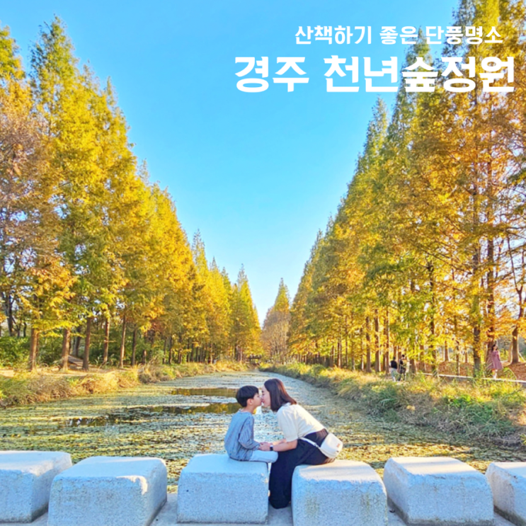  경주 천년숲정원 환경산림연구원 단풍이 예뻣던곳