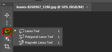  포토샙배우기 올가미 도구 (Lasso Tool)