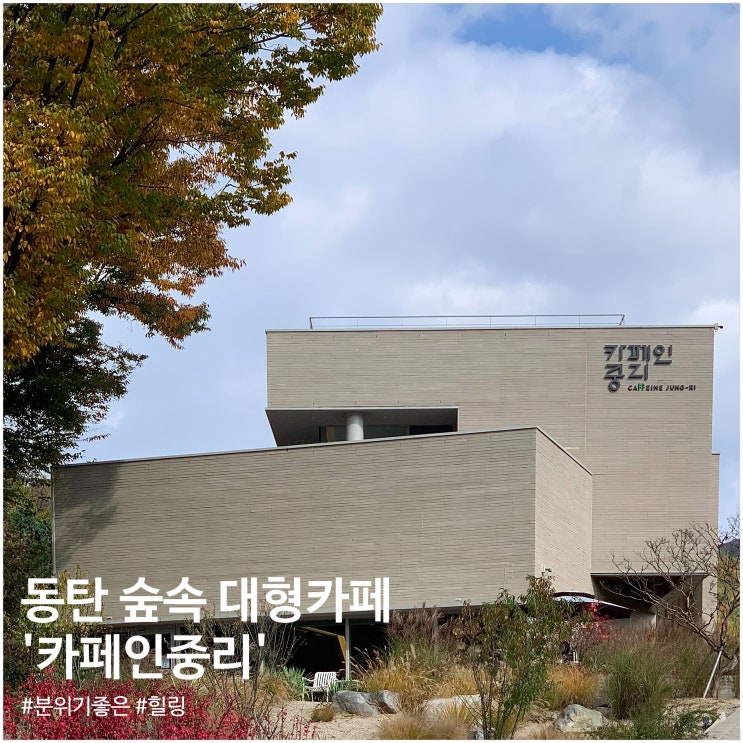  동탄 대형카페추천 숲속뷰 '카페인중리'