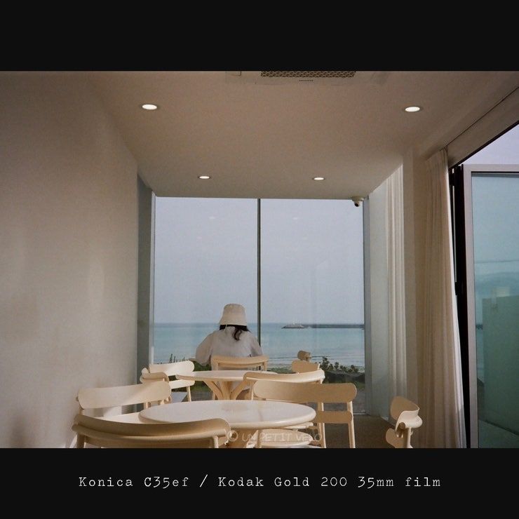  색감 미친 23년 5월의 제주 | 코닥 골드 200 필름 x 코니카 C35ef (ft.카메라 iSO 400에 놓고 찍은 필름 초보)
