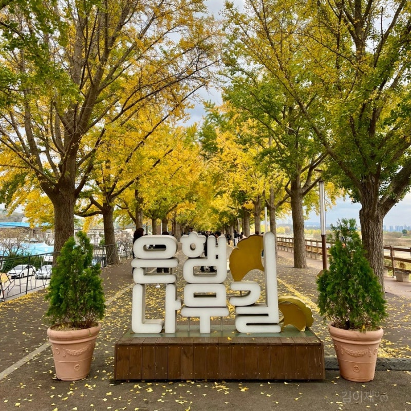 충남 아산 가볼만한곳 현충사 곡교천 은행나무길 : 네이버 블로그