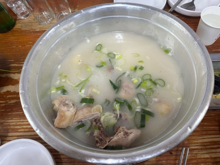 성신여대역 맛집 등마루 닭한마리 내돈내산 솔직 후기(주차,웨이팅)
