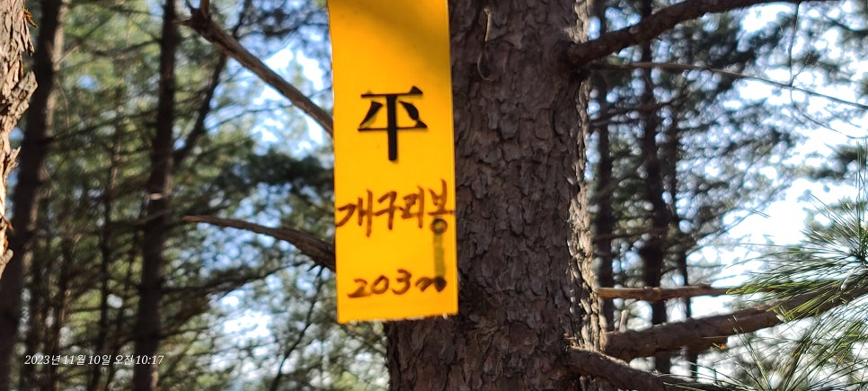 능산 사진 6