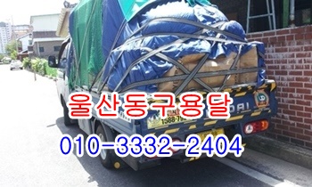 울산동구용달 감포 양북 울릉도 양남 정자 제주도 방어진. 울산동구용달 감포 양북 울릉도 양남 정자 제주도 방어진.