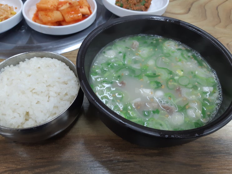  소머리 국밥 생각날 때 가는 군위군 부계면 대성식당
