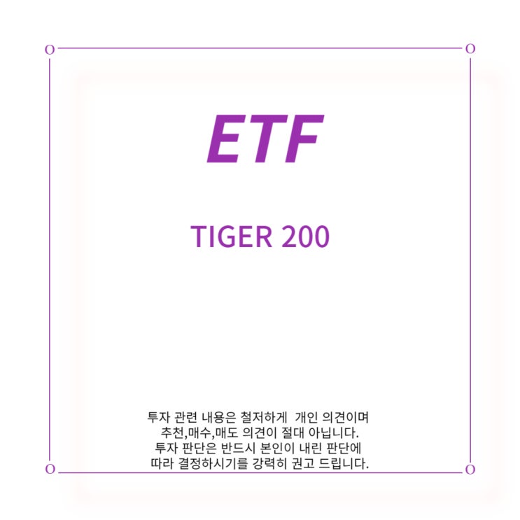 [ETF] TIGER 200