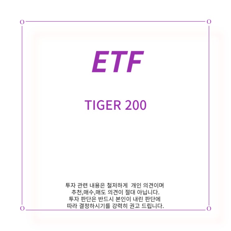  [ETF] TIGER 200