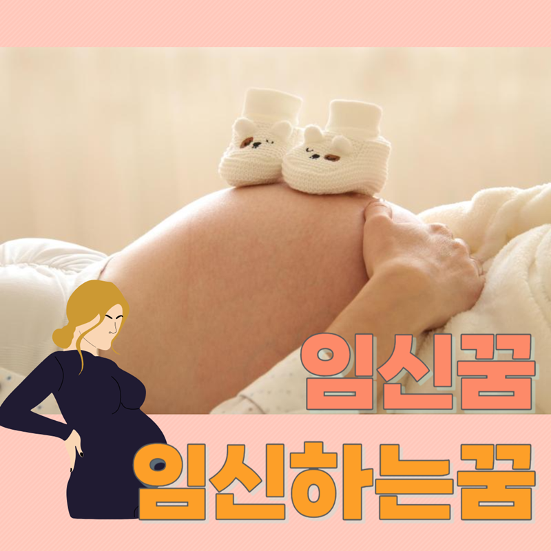 내가 임신한꿈 임신꿈 태몽 친구 지인 내가 임신하는꿈 해몽