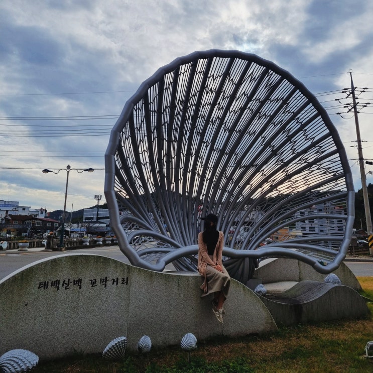  광주 근교 바다 드라이브코스 보성 율포해수욕장 캠핑장 벌교 꼬막정식 보성 여행