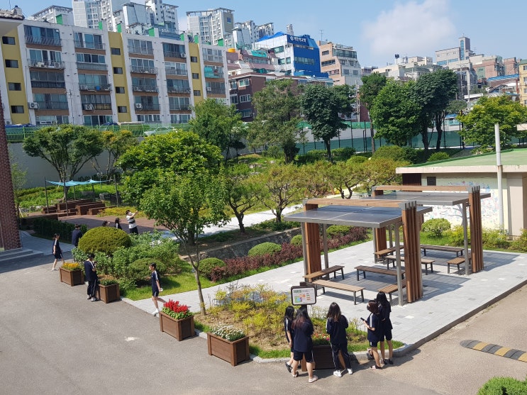 도심 속 생태학습 공간, ‘우수 학교숲’ 선정