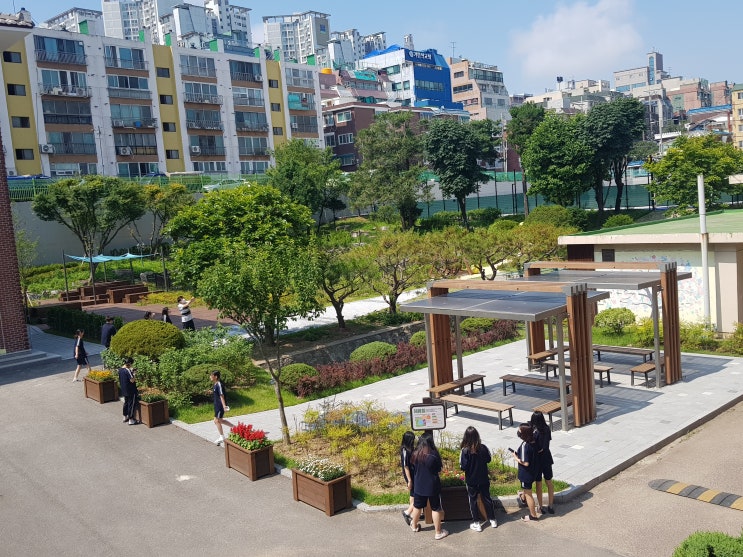 도심 속 생태학습 공간, ‘우수 학교숲’ 선정 도심 속 생태학습 공간, ‘우수 학교숲’ 선정